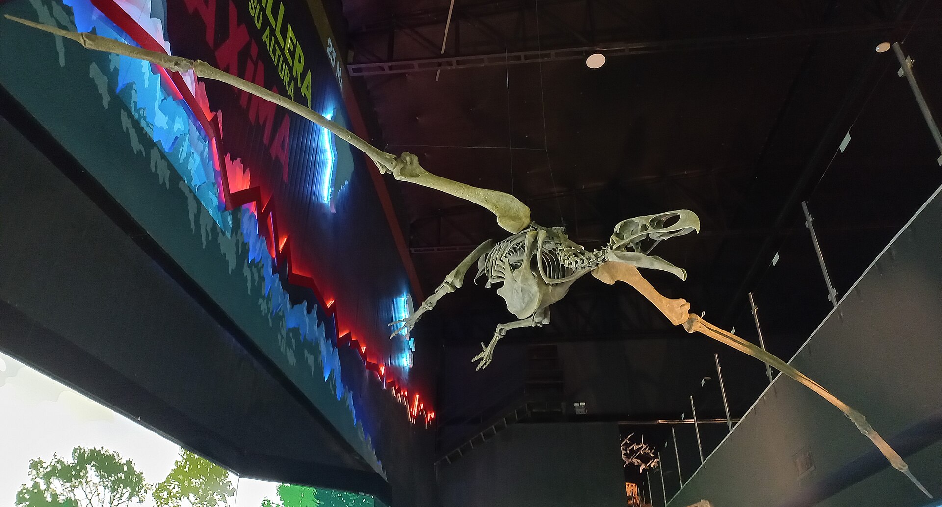 Argentavis: el gigante que dominó los cielos de Sudamérica
