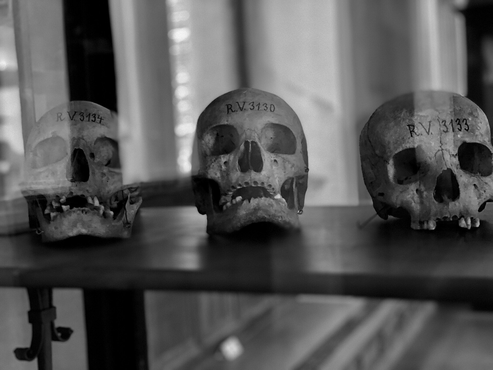 Estudio genético sugiere la existencia de un linaje humano aún desconocido