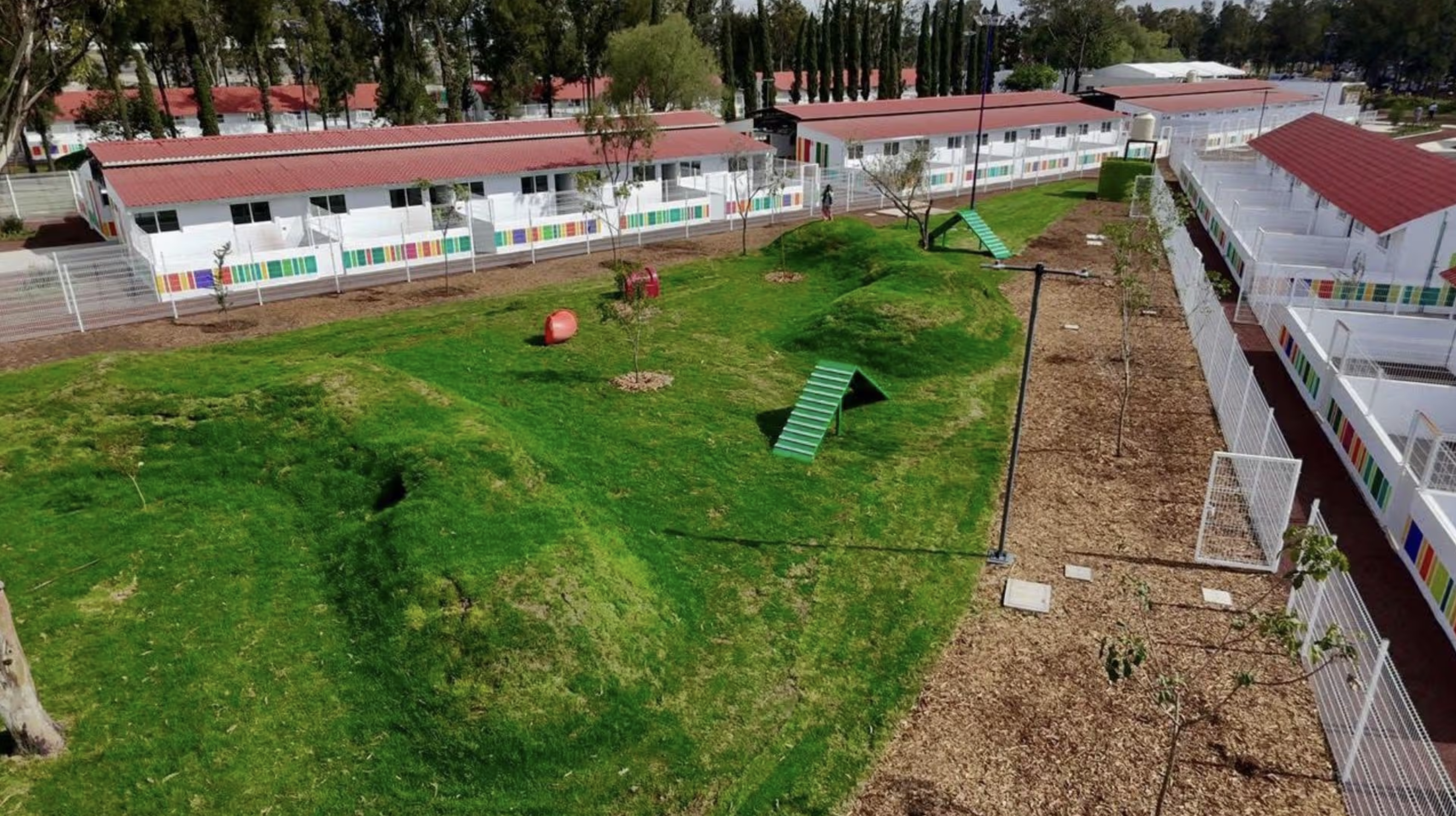 Xólotl: el nuevo refugio público para perros y gatos de CDMX